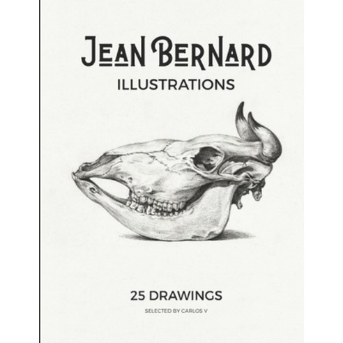 (영문도서) Jean Bernard Illustrations Pencil Drawings: 25 Amazing Charcoal Drawings Paperback, Independently Published, English, 9798839727984
