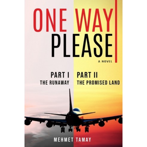 (영문도서) One Way Please Paperback, Mehmet a Tamay, English, 9798986627809