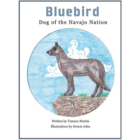 Bluebird: Dog of the Navajo Nation Hardcover, Monday Creek Publishing, English, 9780578632407