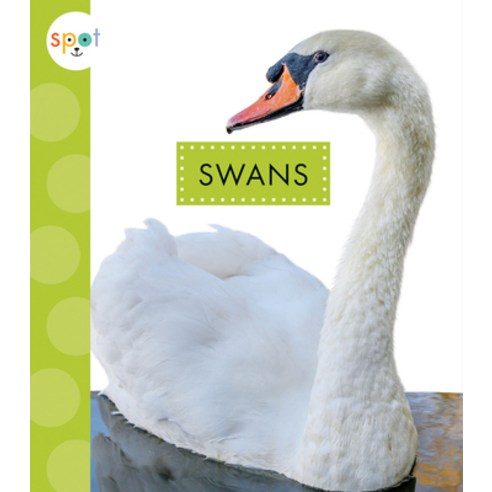 (영문도서) Swans Paperback, Amicus Ink, English, 9781681526683