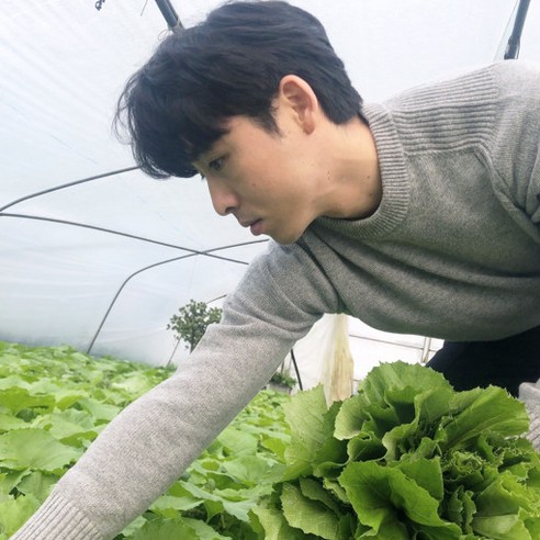 봄의 활력을 담은 이메골 머위나물로 식탁에 향긋함을 더하세요.