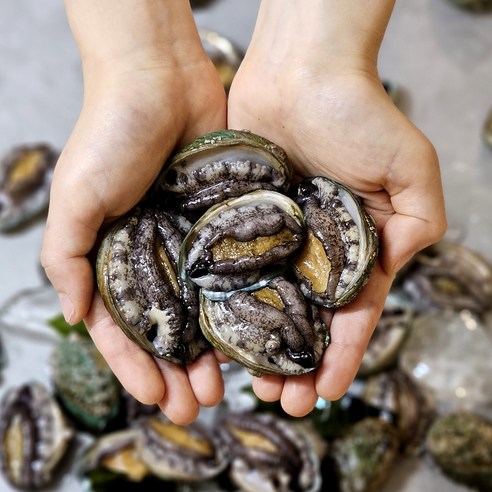[당일채취] 신선도최고 완도 신안 꼬마전복 라면전복 소 40-50미, 1개, 1kg