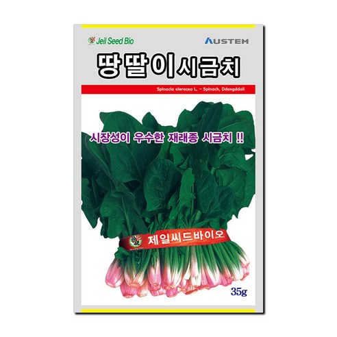 [무료배송]월동시금치씨앗 재래종시금치종자 땅딸이시금치 35g 오스템바이오 3개입 1세트