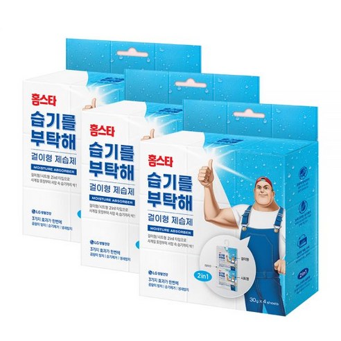 홈스타 습기를 부탁해 제습제 본품, 30g, 12개