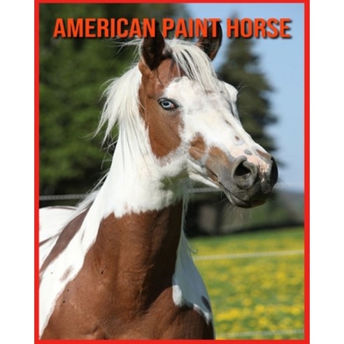 American Paint Horse: Learn About American Paint Horse and Enjoy Colorful Pictures Paperback, Independently Published, English, 9798706532291