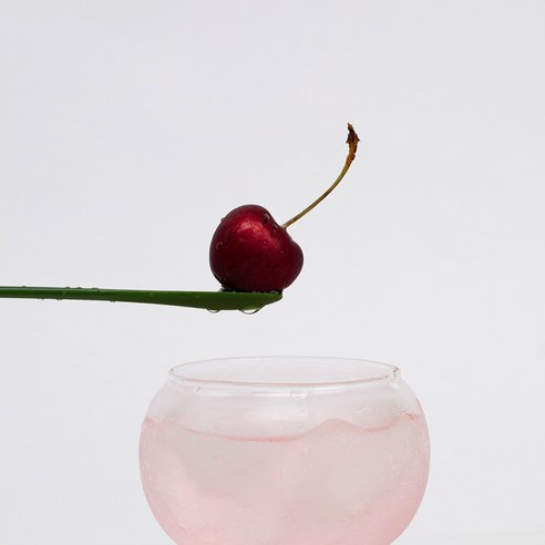 차 경험 향상을 위한 편리하고 다용도적인 두두 더피고사리 머들러 티스푼 스틱