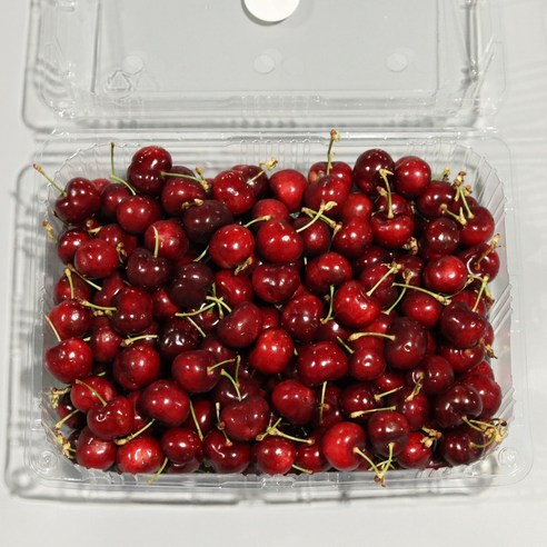 [항공직송] 프리미엄 고당도 생체리 미국산 캘리포니아 칠레산 워싱턴 빙체리, 1개, 1kg 특대
