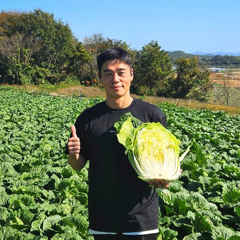 농사친구 해남 스테비아 절임배추 20kg 절인, 배추 수령일을 필수추가정보에 입력해주세요