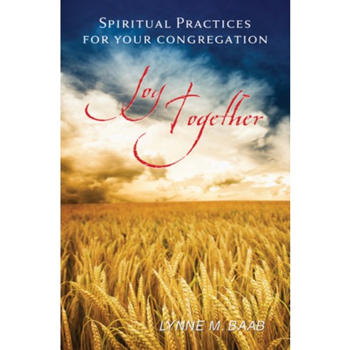 (영문도서) Joy Together: Spiritual Practices for Your Congregation Paperback, Westminster John Knox Press, English, 9780664237097