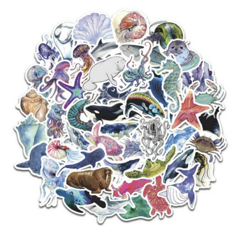 셀렉트스티커 캐리어스티커 노트북 스트릿 sea 바다동물 50종 세트, 혼합색상