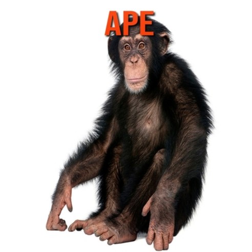 Ape: Fun Learning Facts About Ape Paperback, Independently Published, English, 9798693399891
