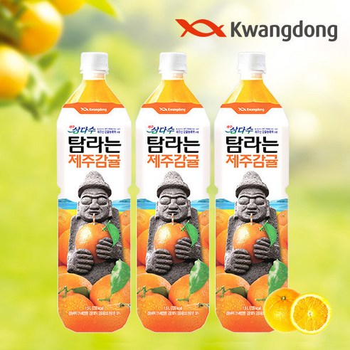 제주삼다수 탐라는 제주감귤 주스, 1.5L, 12개