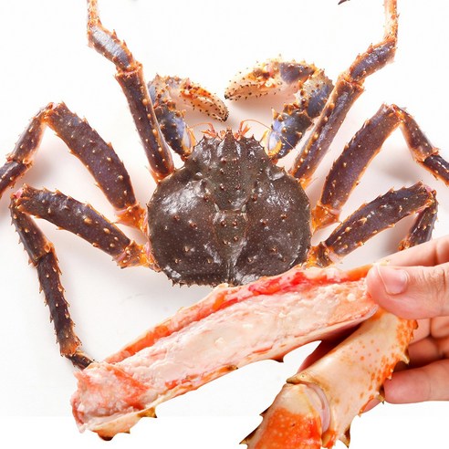[잇팅나우ㅣ인기상품] 맛있는 해산물의 향연: 꼬무리 선어 블루 자숙 킹크랩 체험기 [EatingNOWㅣ추천상품]
