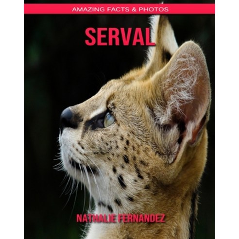Serval: Amazing Facts & Photos Paperback, Independently Published
