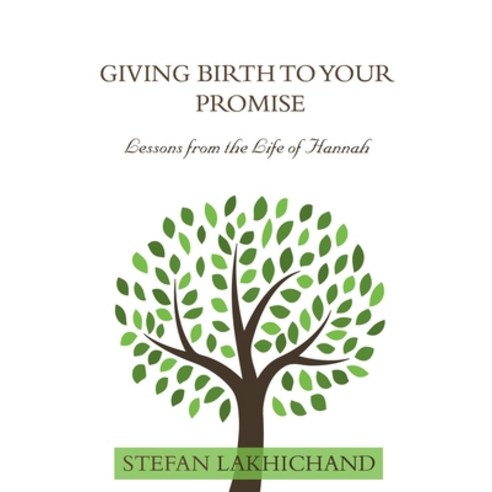 Giving Birth to your Promise: Lessons from the life of Hannah Paperback, Public Transformation, English, 9789083083308