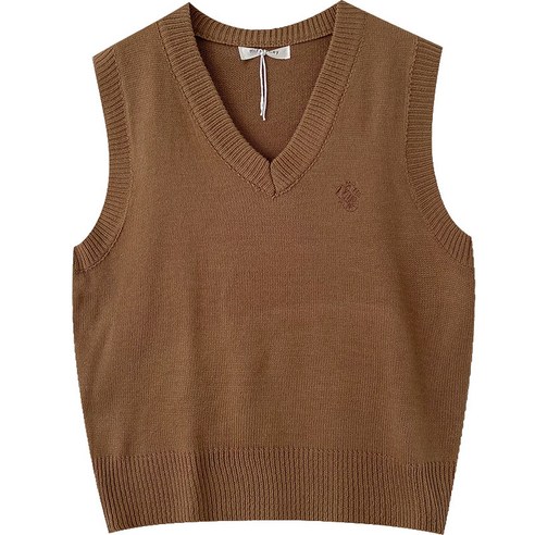여성 조끼 간단한 모든 일치 가을 새로운 틈새 디자인 예술적 신선한 V-Neck 민소매 가기