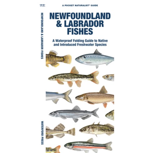 (영문도서) Newfoundland & Labrador Fishes: A Waterproof Folding Guide to Native and Introduced Freshwate... Paperback, Waterford Press, English, 9781620056073