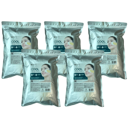 린제이 프리미엄 티트리 모델링팩 1kg, 1개입, 6개