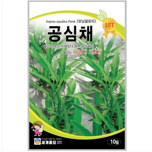 공심채 10g / 아열대채소 씨앗 종자 텃밭키우기 채소키우기