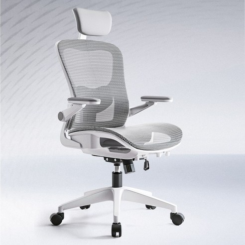 오래 앉아있는 당신을 위한 선택, HOMEY NEST 메쉬 의자 솔직 후기 매쉬의자