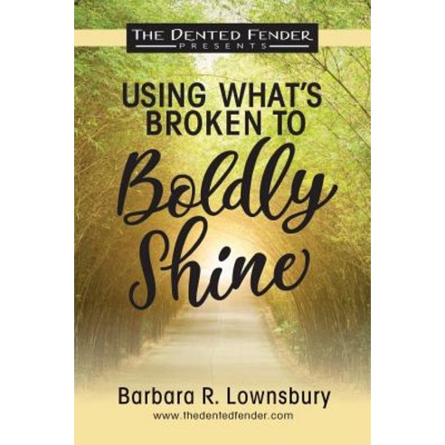 Using What''s Broken to Boldly Shine: Dented Fender Paperback, Createspace Independent Pub..., English, 9781725780521