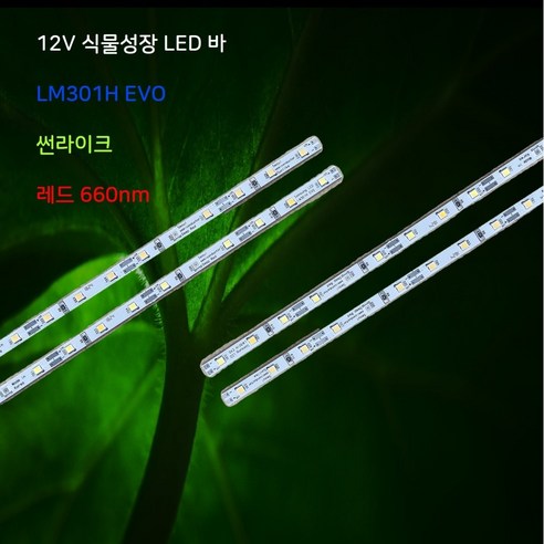 식물 성장 12V 삼성 LM301H EVO LED 생장등 서울 선라이크, 서울 썬라이크 50cm, 1개