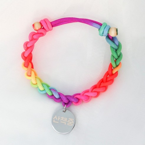 세리냥 네온무지개 강아지 고양이 목걸이 L + 메탈원형 펜던트 25mm, 17) 산책중