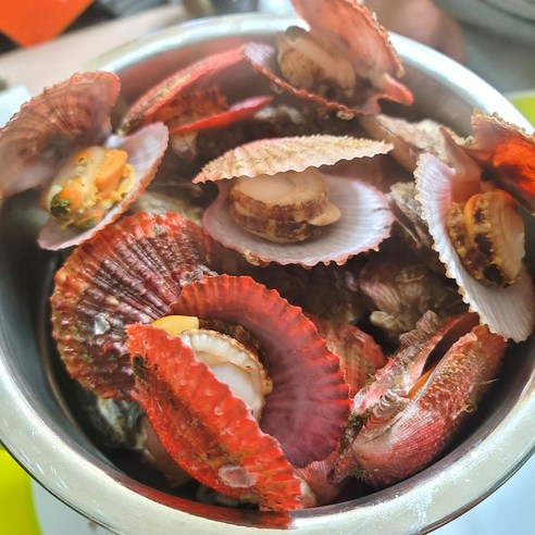 싱싱한 통영 비단 가리비, 손질 없이 간편하게 즐기세요!