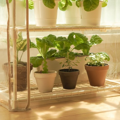 식물전파사 생생하우스 미니 온실 비닐하우스 L은 합리적인 가격과 훌륭한 품질을 제공합니다.