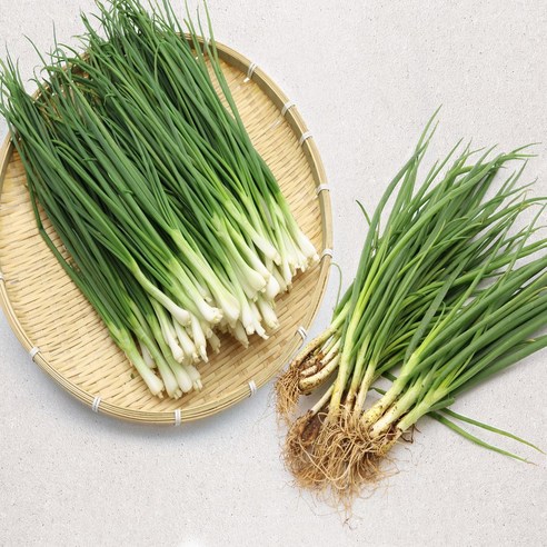 국내산 흙쪽파 신선 실파 채소, 600g, 1개