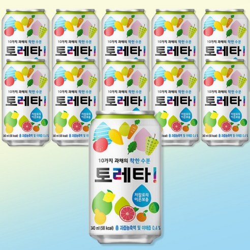 저칼로리 이온보충 토레타 340ml X 24캔, 24개