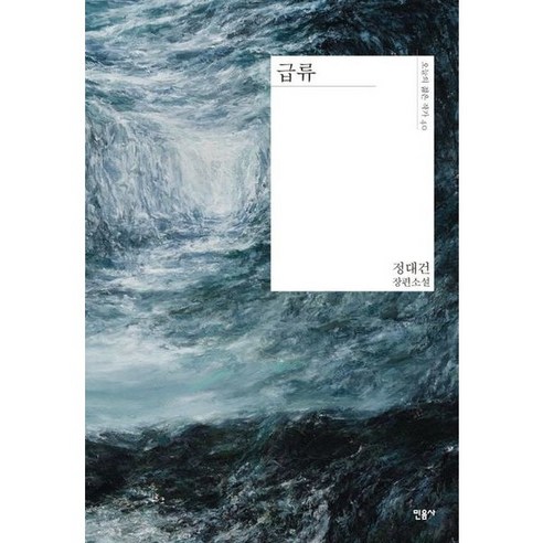 [민음사] 급류 [양장] : 정대건 장편소설 (오늘의 젊은 작가 40), 상세 설명 참조, 상세 설명 참조