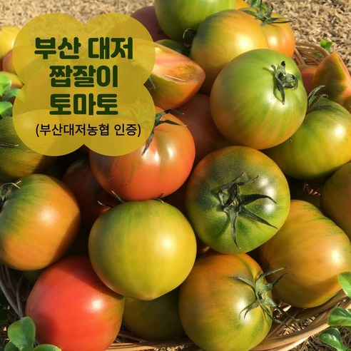 대저농협인증 초 고당도 대저 토마토 짭잘이 2.5키로 산지직송, 1개, 대저(2.5kg/M)