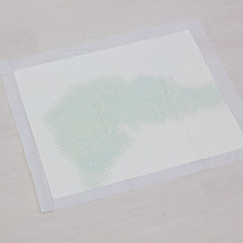 반려동물 관리에 필수적인 제리코지 디센트 애견패드 대형