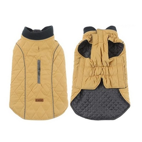 반려견과 함께하는 따뜻한 겨울