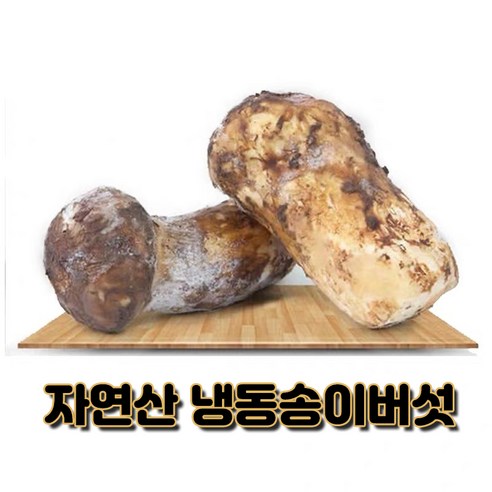 자연산 냉동 송이버섯 백두산 500g 1kg, 가정용/파손품, 1개