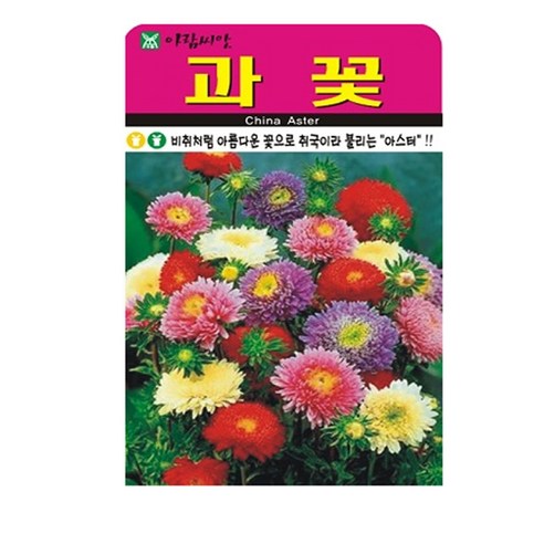 과꽃 씨앗, 1개