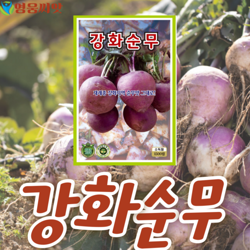 강화순무 씨앗 (1500립) 종묘 종자 무, 1000, 0, 1개