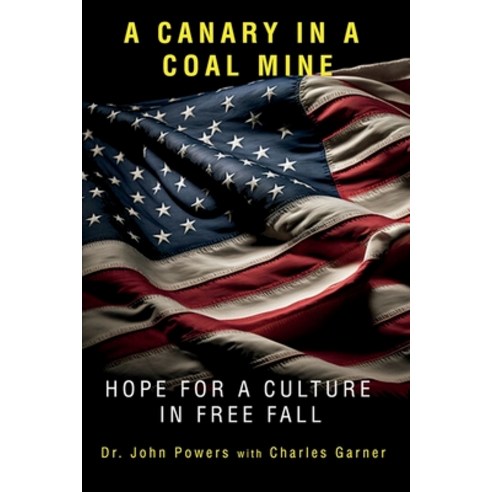 (영문도서) A Canary in a Coal Mine: Hope for a Culture in Free Fall Paperback, Pgs Publishing LLC, English, 9798218319489