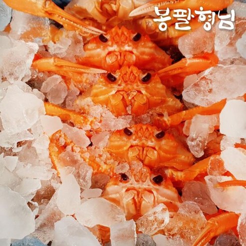 제철 자숙 홍게 3kg (일반) 9-11마리, 1개 Best Top5