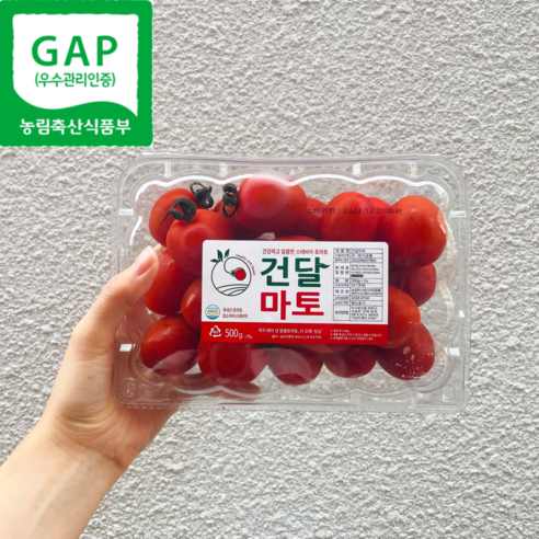 산지직송 스테비아 대추 방울토마토 토망고 건달마토 1k 2kg, 스테비아방울토마토1kg, 1개