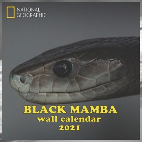Black Mamba 2021 Wall Calendar: BLACK MAMBA 2021 WALL CALENDAR 8.5x8.5 FINISH GLOSSY Paperback, Independently Published, English, 9798561097270