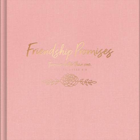 (영문도서) Friendship Promises Hardcover, B&H Books, English, 9781535934428
