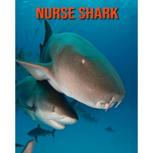Nurse Shark: Amazing Facts about Nurse Shark Paperback, Independently Published, English, 9798551378594