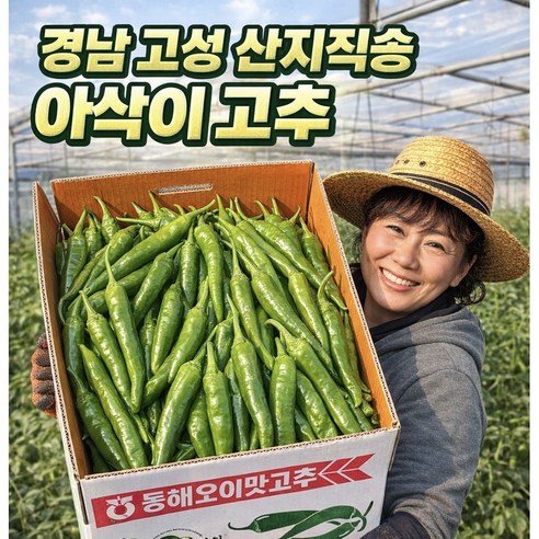 국내산 아삭이 고추 하우스재배 산지직송, 1박스, 5kg