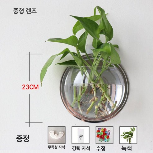 벽걸이 수족관 랙 어항 거실 소형 붕어 주택 사무실 홀더 보관 선반 후크 정리함, 거울 라운드 230..., 1개 - 청소용품/탈취제 | 쿠팡