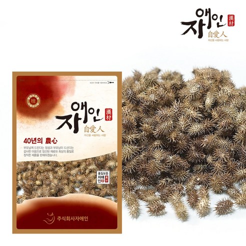 자애인 국산 창이자 1200g 볶지 않은 건조창이자 도꼬마리 충북제천, 1.2kg, 1개