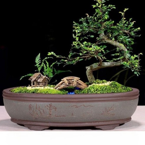 홈가드닝의 아름다움을 더하는 분재화분 분재화분