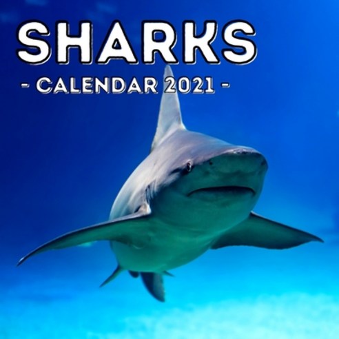 Sharks Calendar 2021: Cute Gift Idea For Sharks Lovers Men And Women Paperback, Independently Published, English, 9798716723610