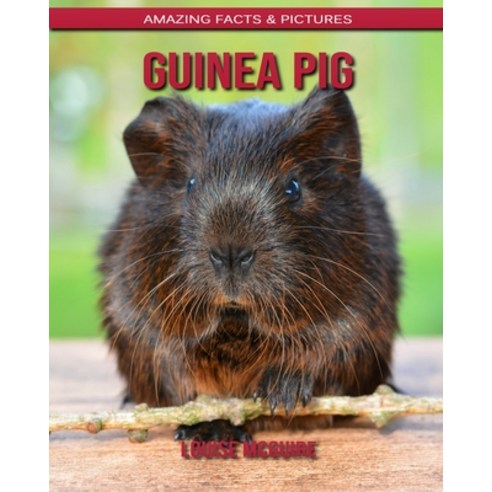 Guinea pig: Amazing Facts & Pictures Paperback, Independently Published